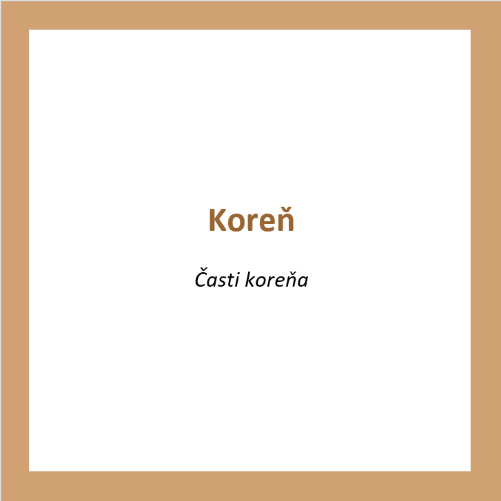 _KO01