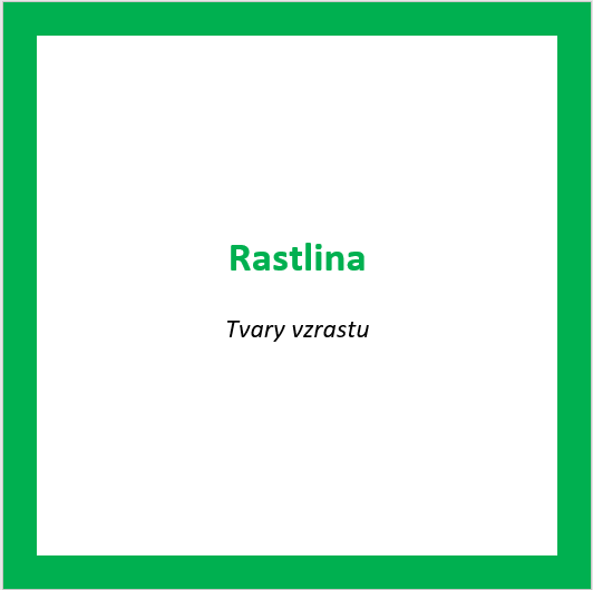 _RAS02
