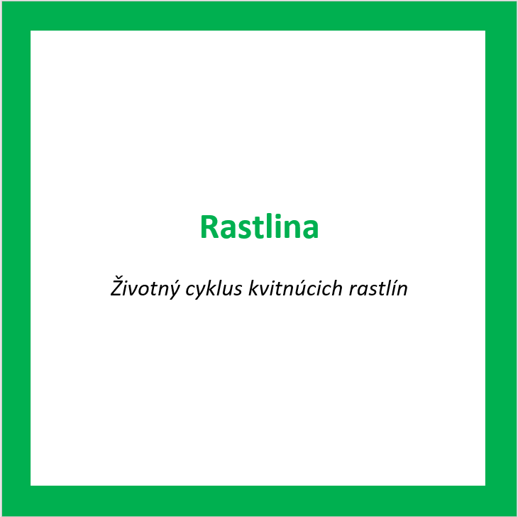 _RAS03