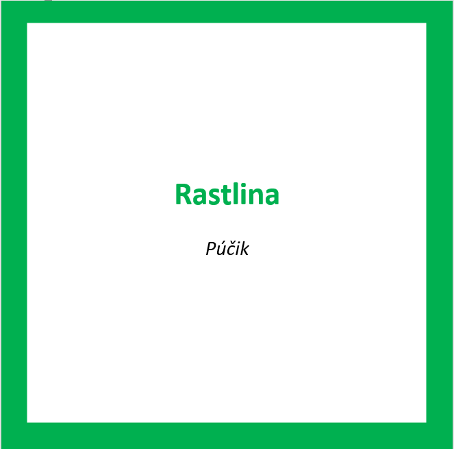 _RAS04