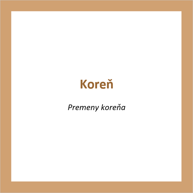 _KO04