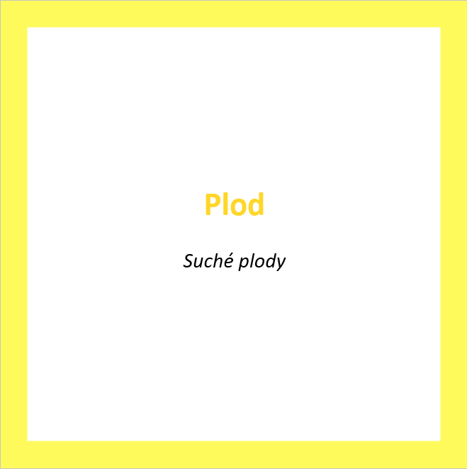 _PL04