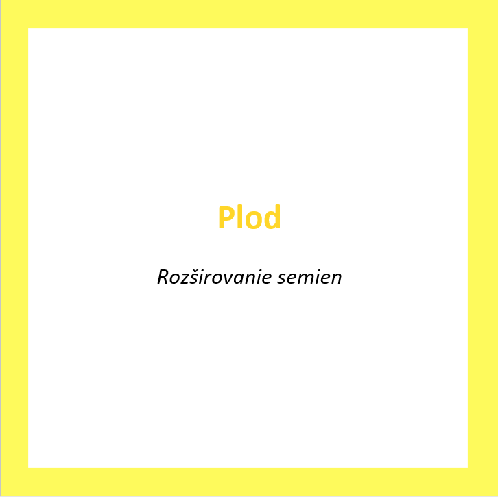 _PL06