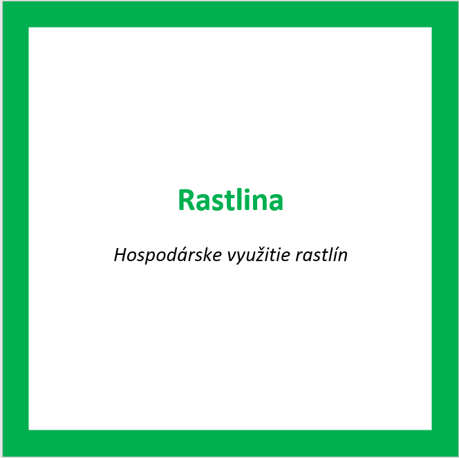 _RAS05