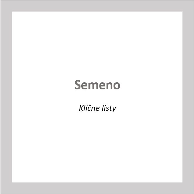 _SE02