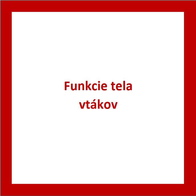 _ZV04