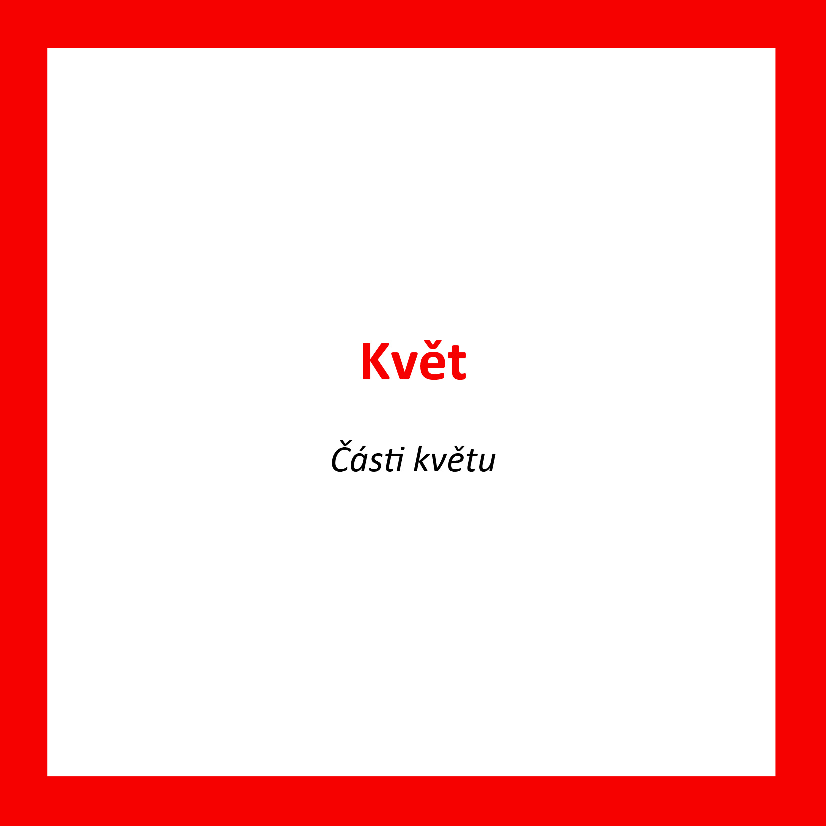 KV01_CZ_Kvet_Casti kvetu