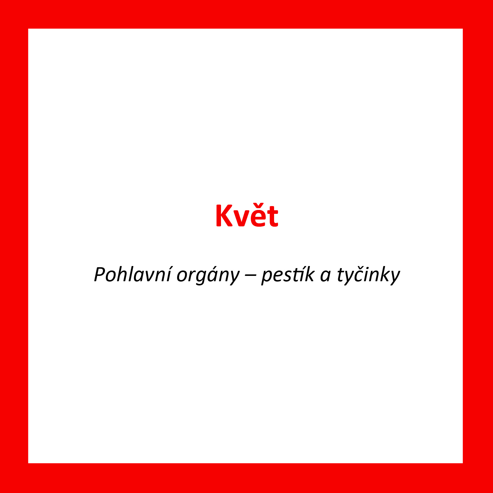 KV02_CZ_Kvet_Casti tycinky_Casti pestiku