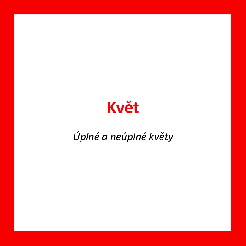 KV03_CZ_Kvet_Uplne a neuplne kvety