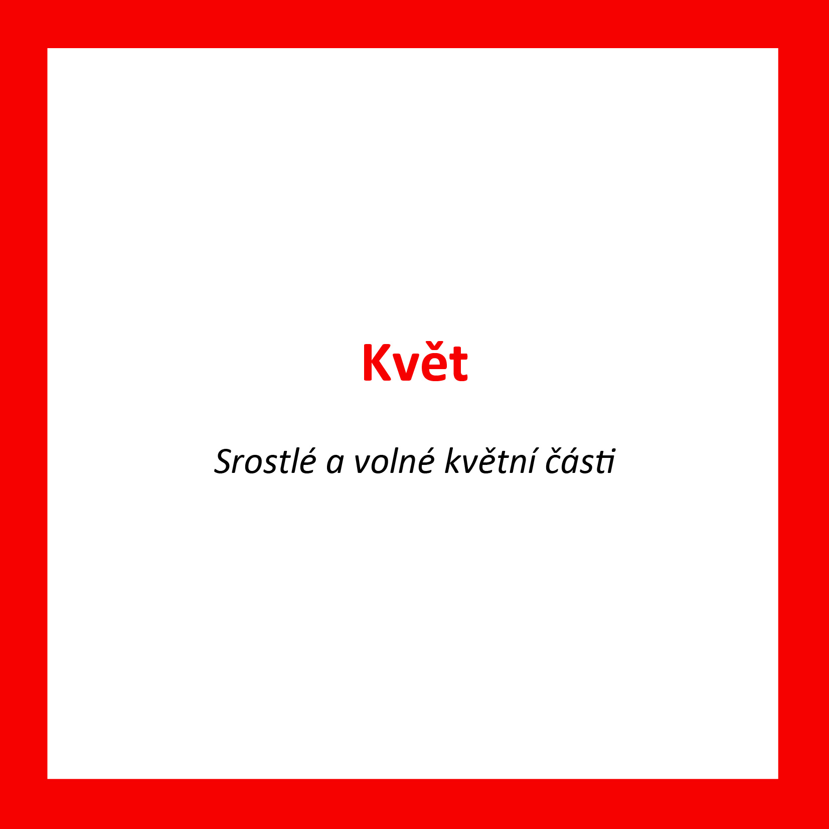 KV04_CZ_Kvet_Srostle a volne kvetni casti