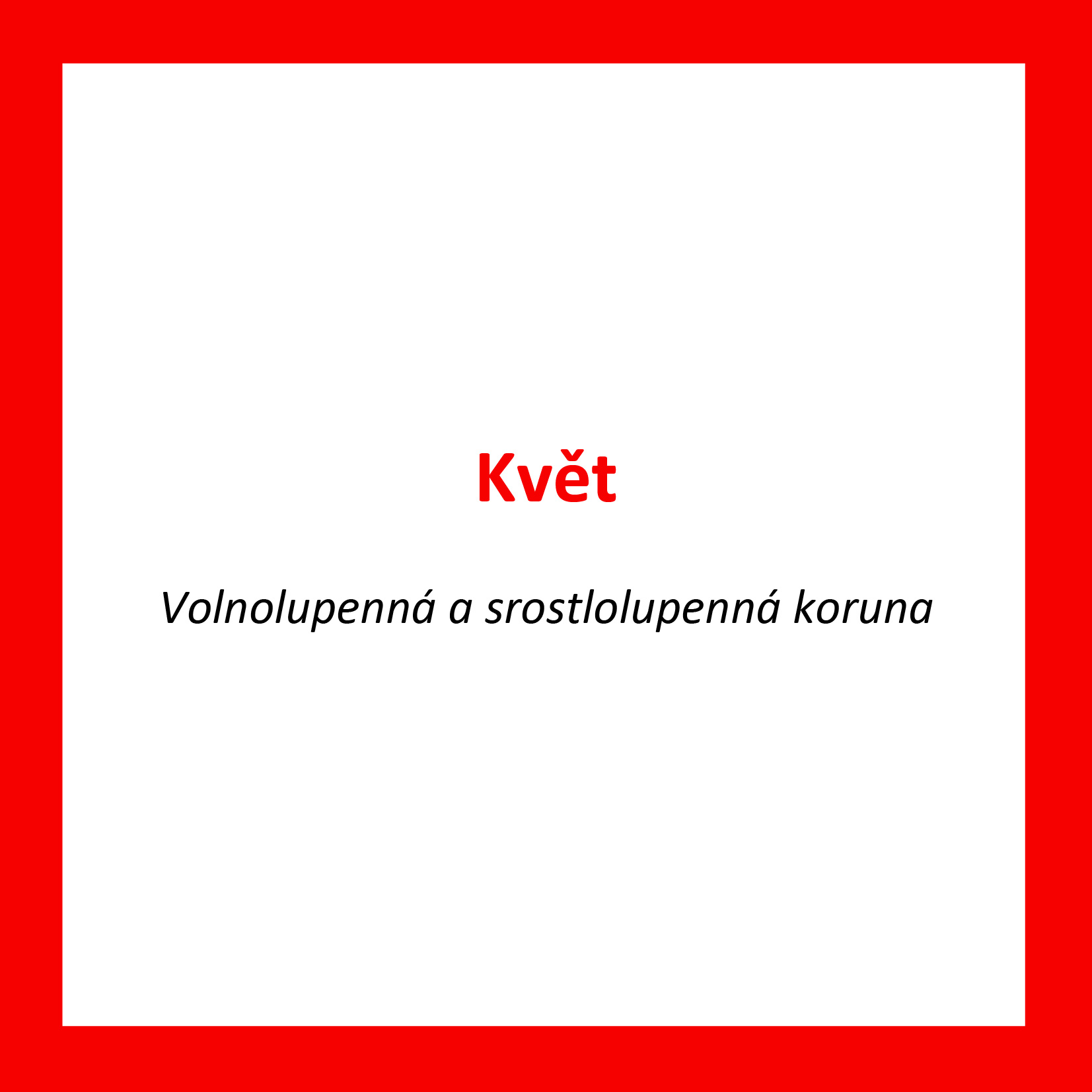 KV06_CZ_Kvet_Volnolupenna a srostlolupenna koruna