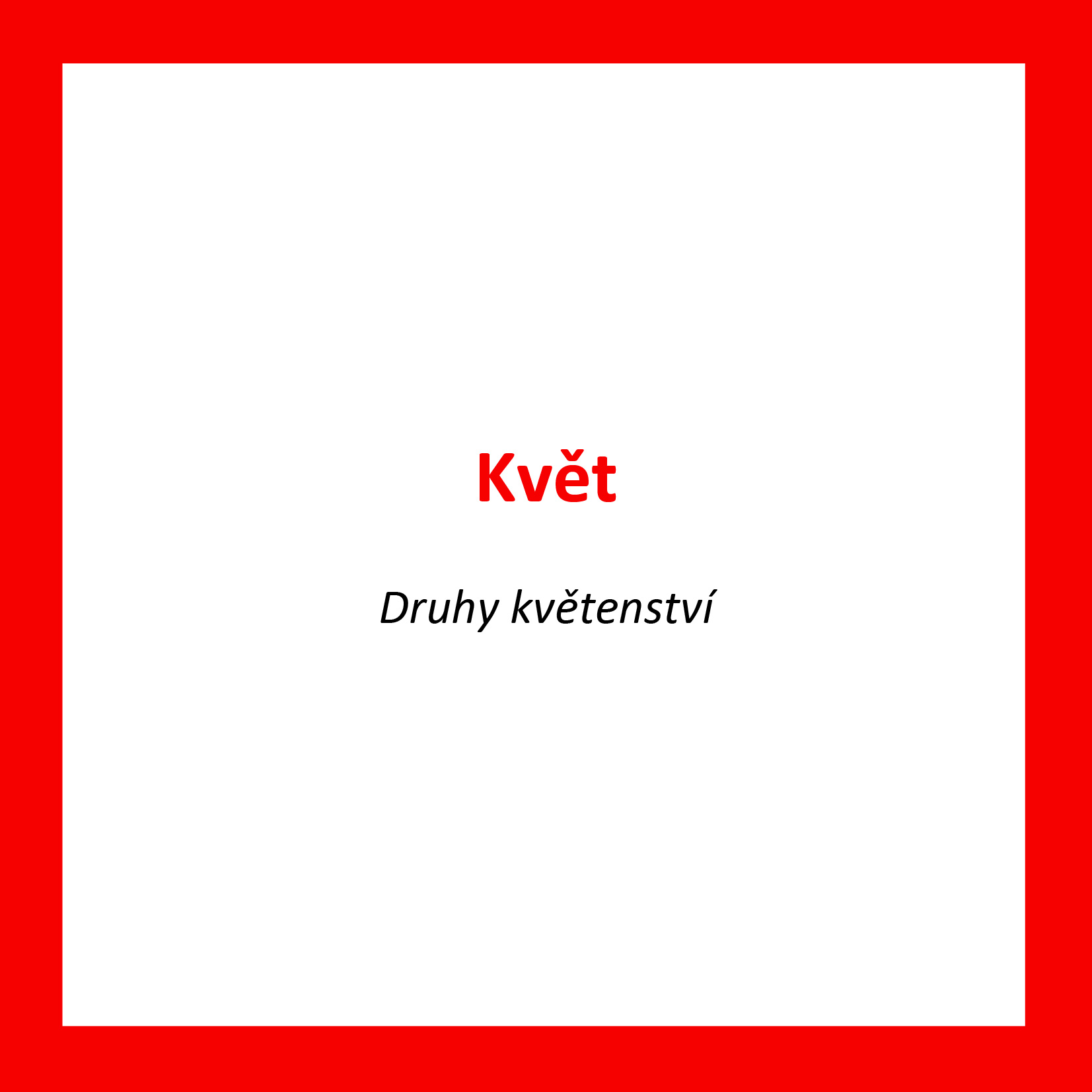 KV08_CZ_Kvet_Druhy kvetenstvi
