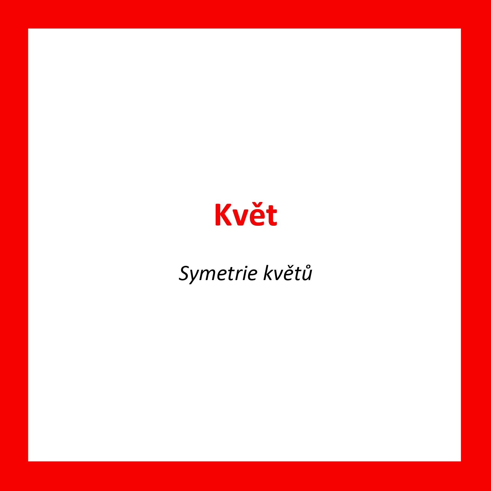 KV09_CZ_Kvet_Symetrie kvetu