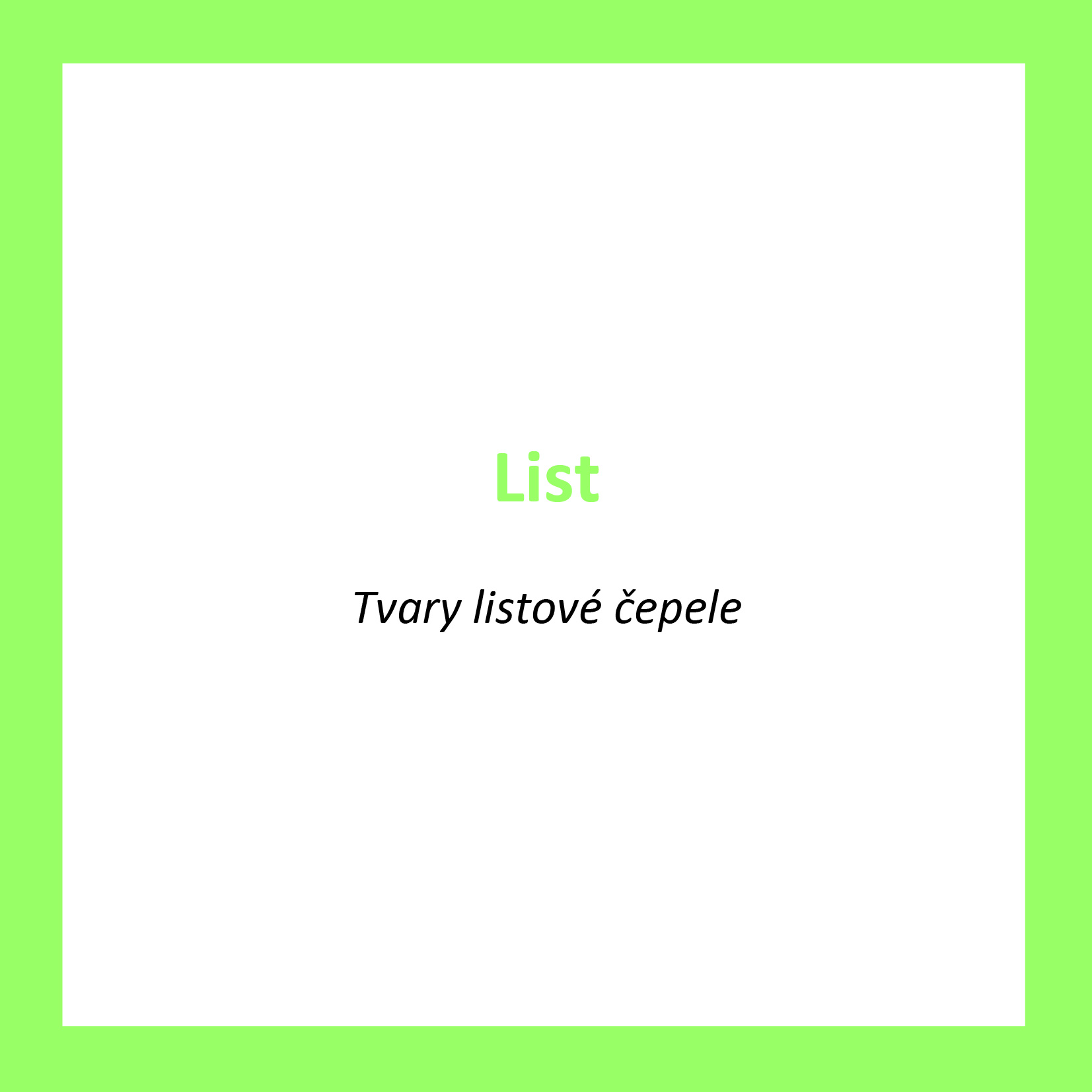 LI05_CZ_List_Tvary listove cepele