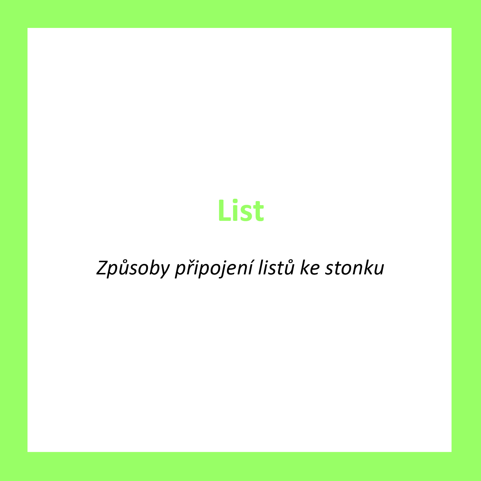 LI08_CZ_List_Typy pripojeni listu ke stonku