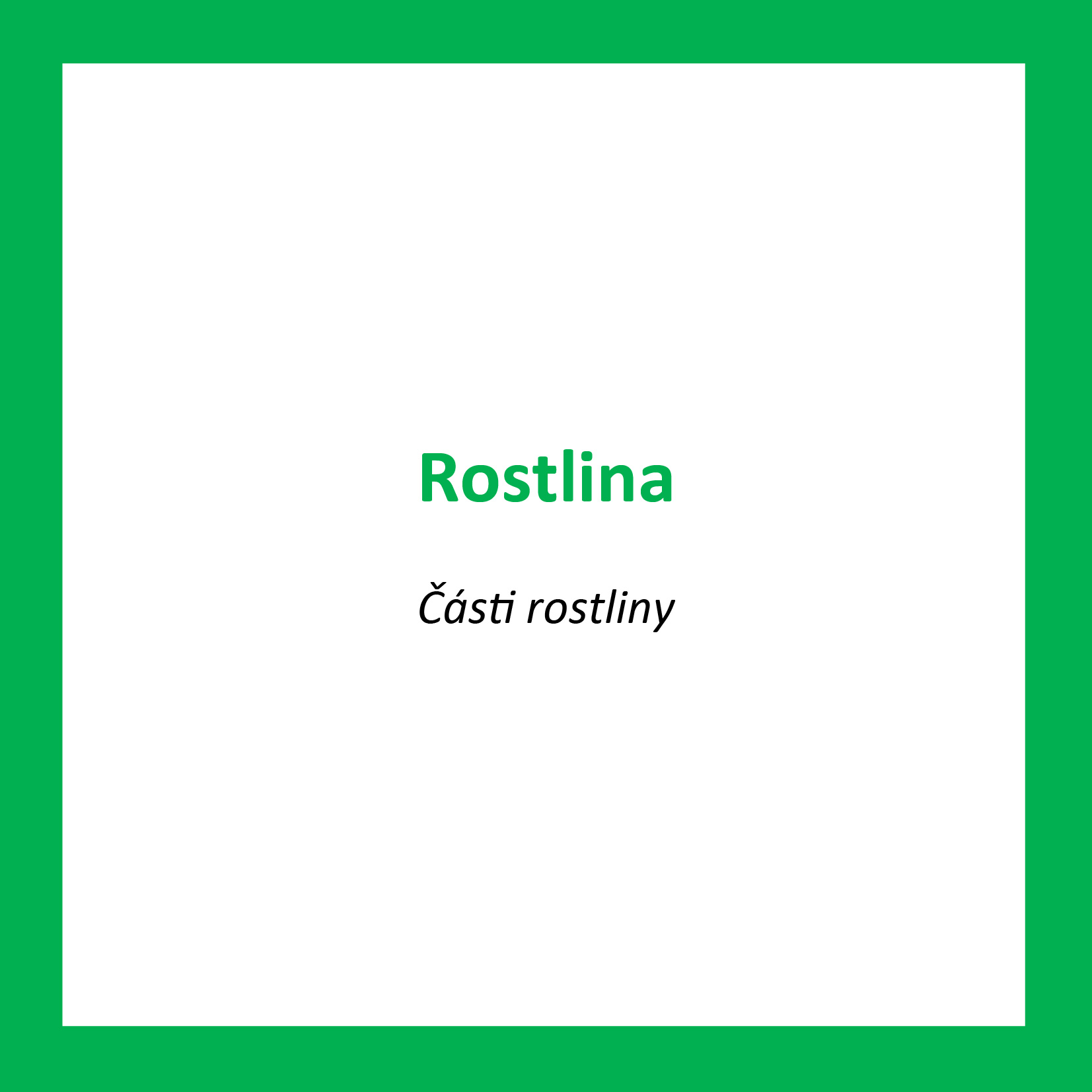 ROS01_CZ_Rostlina_Casti rostliny