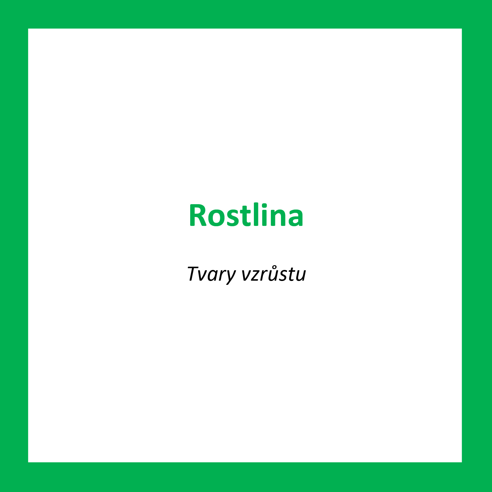 ROS02_CZ_Rostlina_Tvary vzrustu