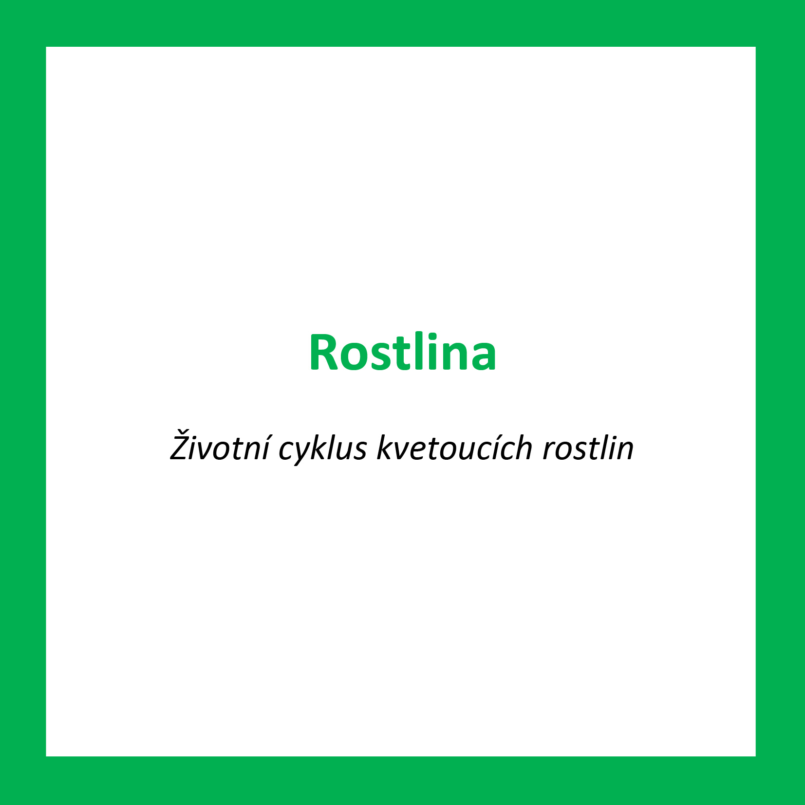 ROS03_CZ_Rostlina_Zivotni cyklus kvetoucich rostlin