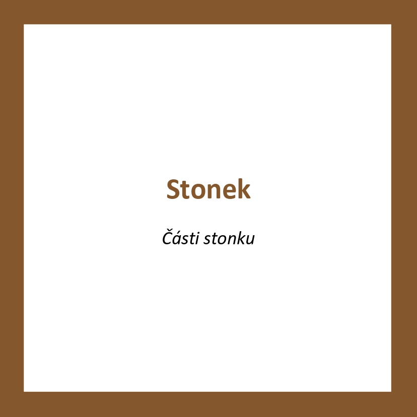 ST01_CZ_Stonek_Casti stonku