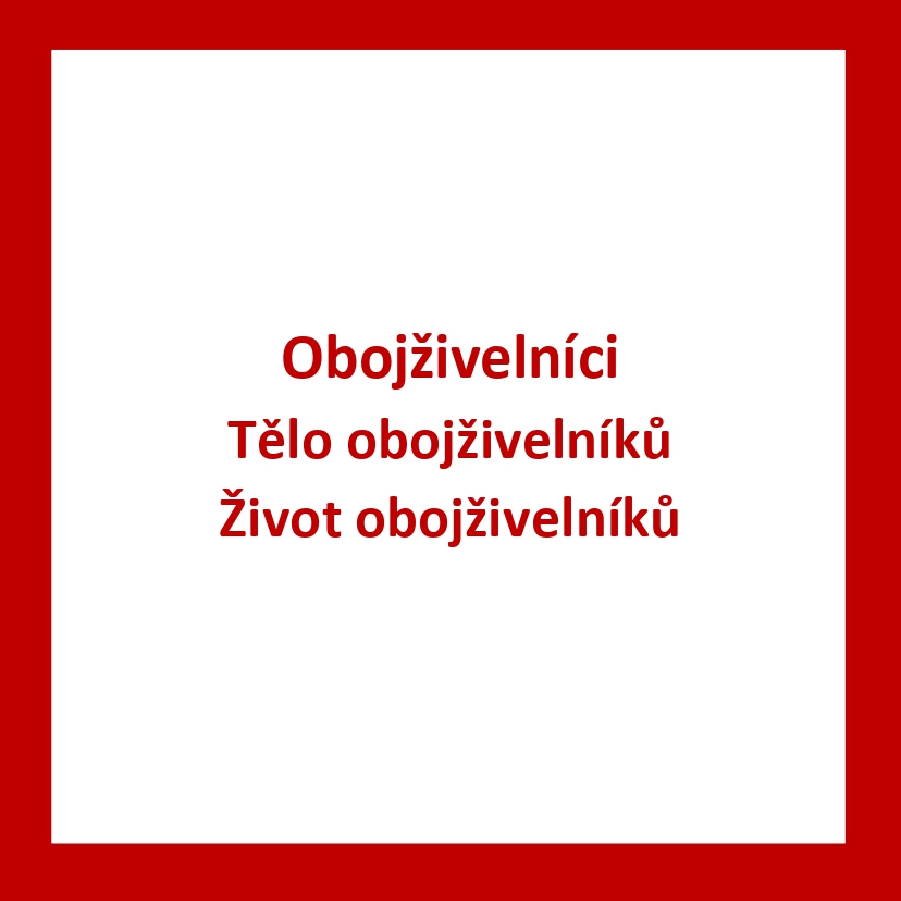 ZV02_CZ_Obojzivelnici