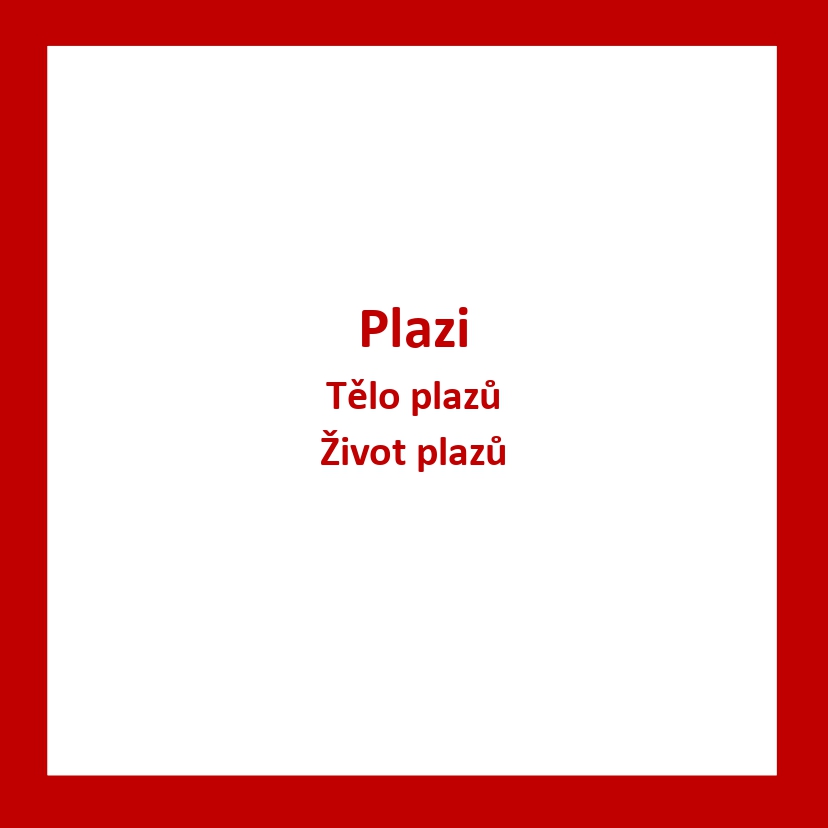 ZV03_CZ_Plazi
