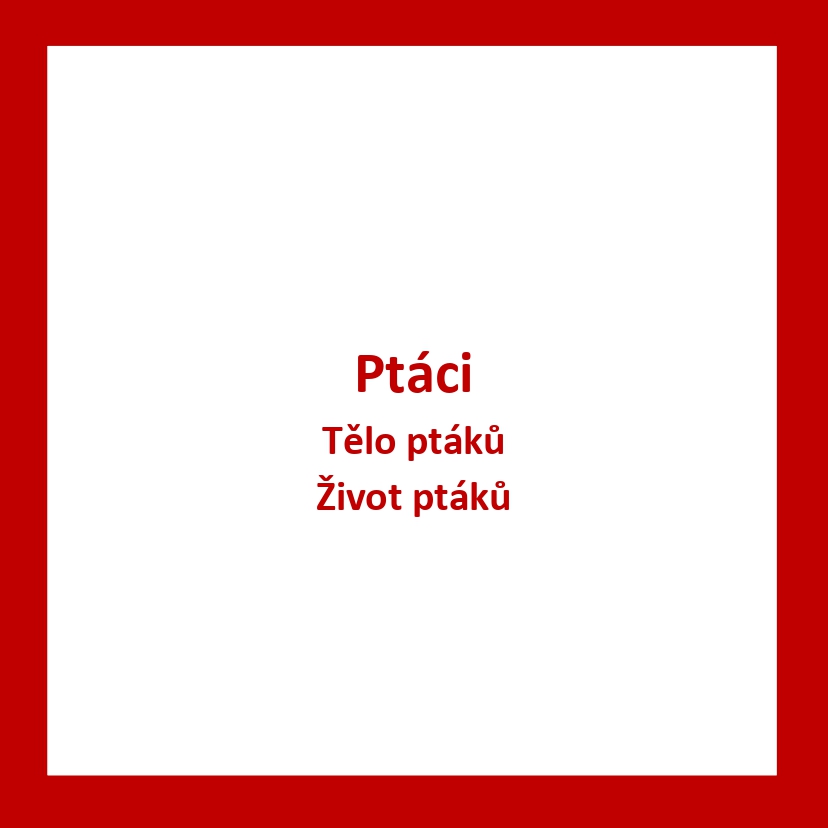 ZV04_CZ_Ptaci