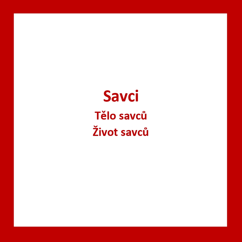 ZV05_CZ_Savci