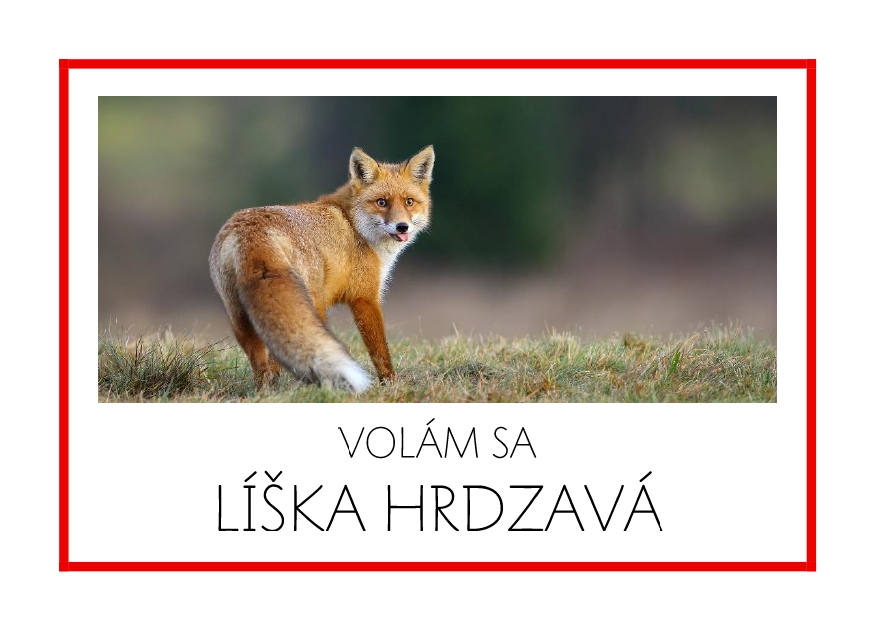 _SF_EU04_VOLAM SA LISKA HRDZAVA