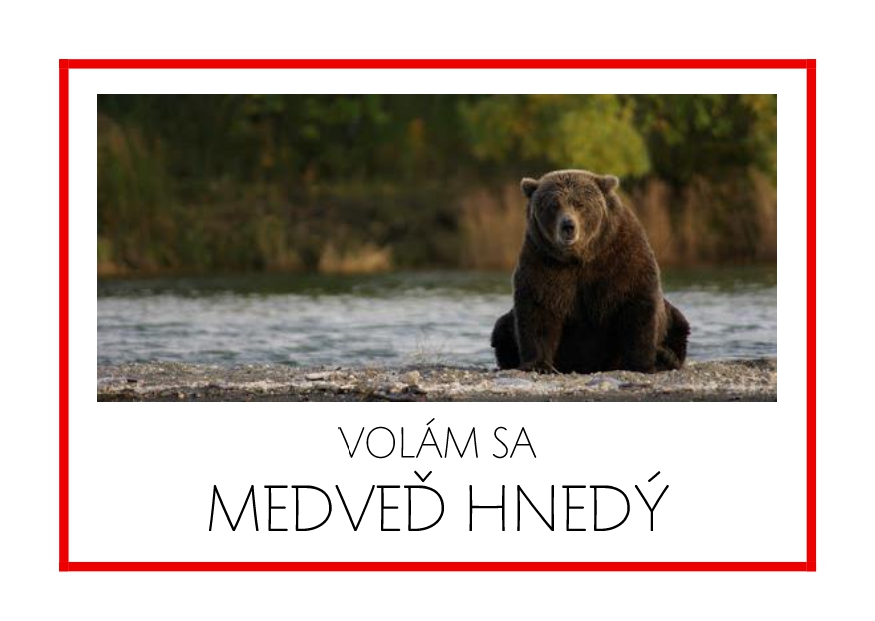 _SF_EU05_VOLAM SA MEDVED HNEDY