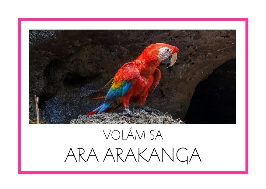 _SF_JA01_VOLAM SA ARA ARAKANGA