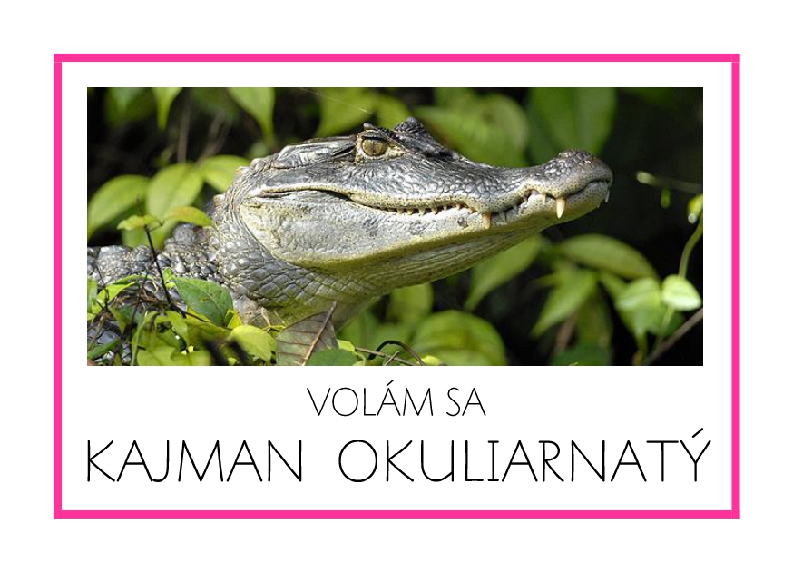_SF_JA04_VOLAM SA KAJMAN OKULIARNATY