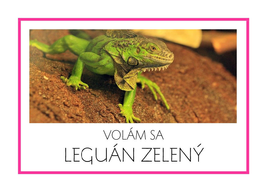 _SF_JA07_VOLAM SA LEGUAN ZELENY