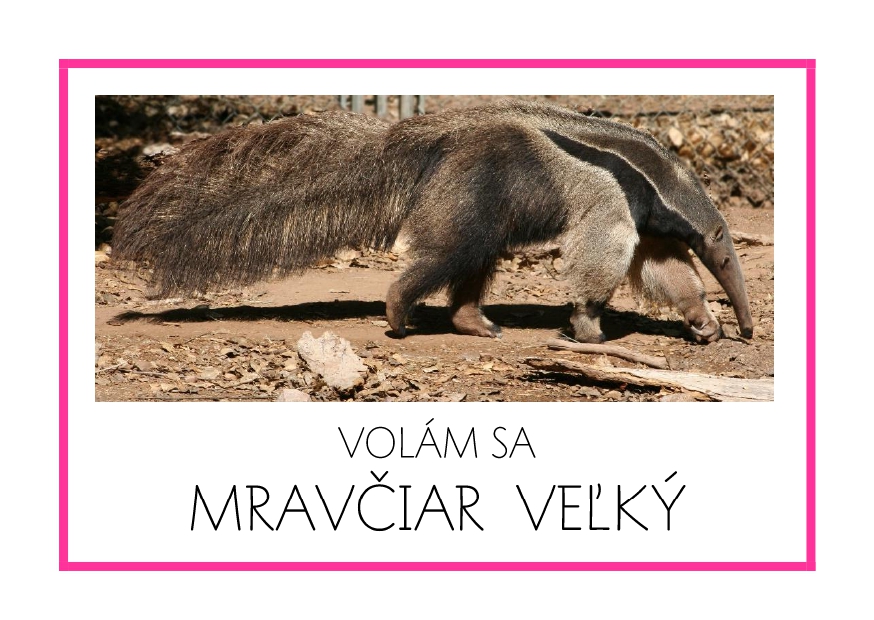 _SF_JA09_VOLAM SA MRAVCIAR VELKY
