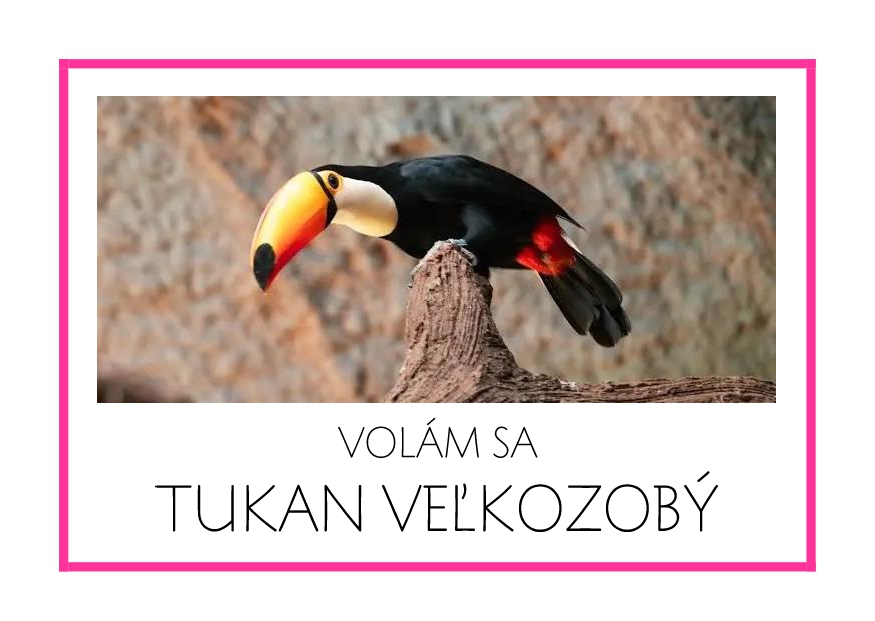_SF_JA12_VOLAM SA TUKAN VELKOZOBY