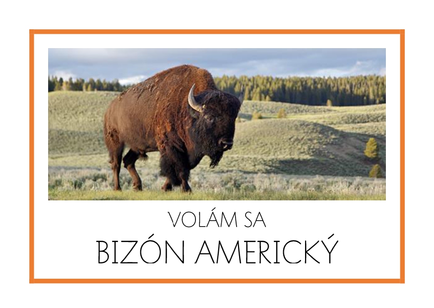 _SF_SA01_VOLAM SA BIZON AMERICKY