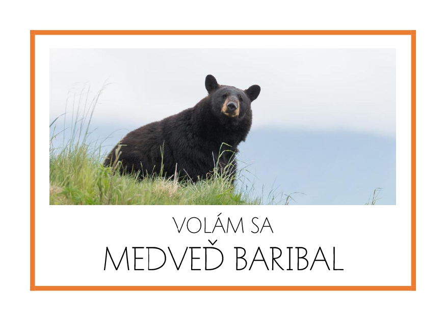 _SF_SA06_VOLAM SA MEDVED BARIBAL