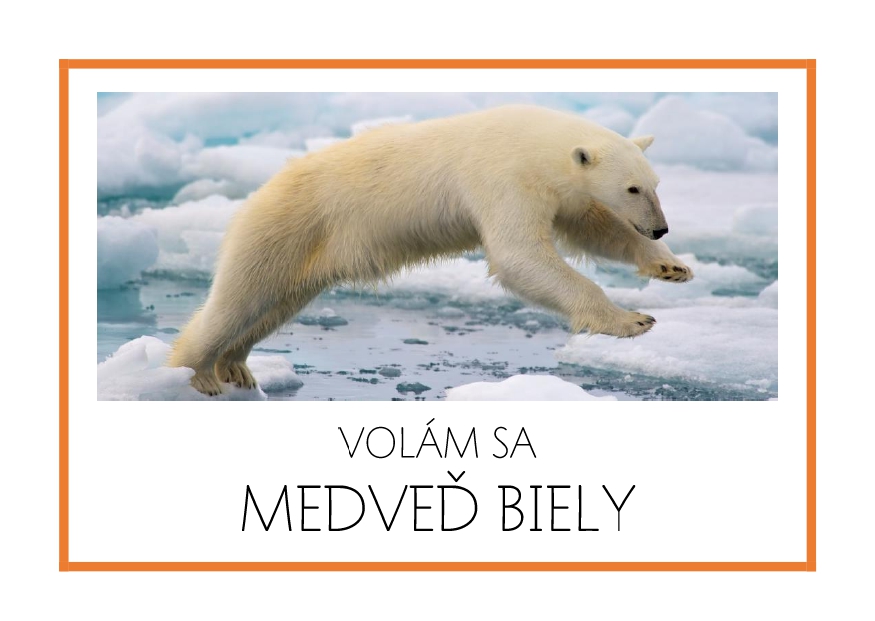 _SF_SA07_VOLAM SA MEDVED BIELY