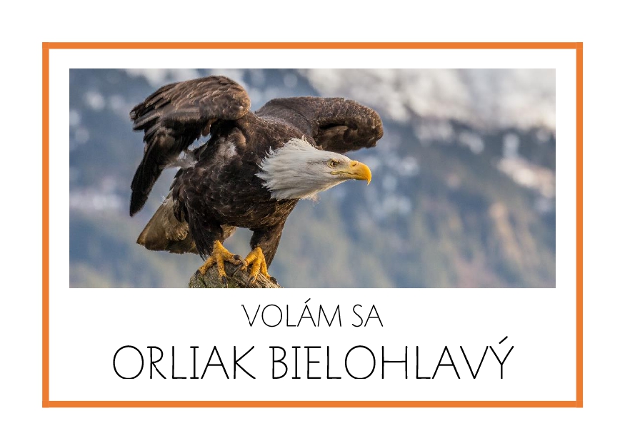 _SF_SA09_VOLAM SA ORLIAK BIELOHLAVY